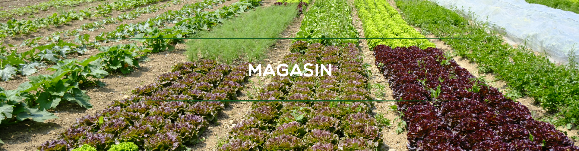 header_magasin